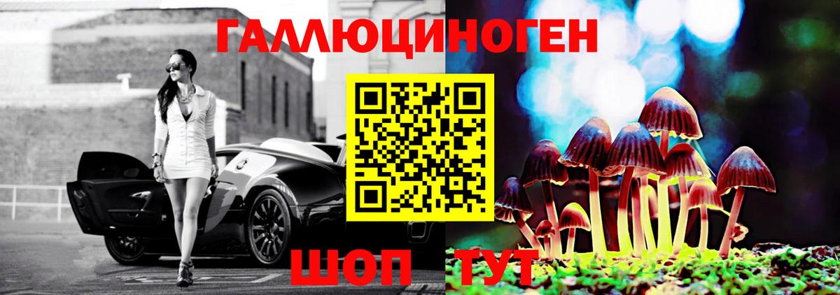 Янаул  Псилоцибиновые грибы Magic Shrooms  Вход с VPN  купить  цена  Галлюциногенные грибы Psilocybine cubensis 